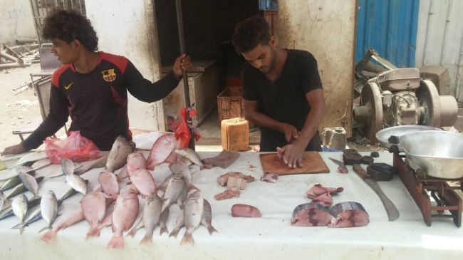 ارتفاع جنوني في أسعار الأسماك بمدينة عدن المشهد الجنوبي الأول